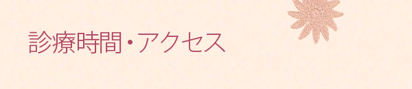 診療時間・アクセス